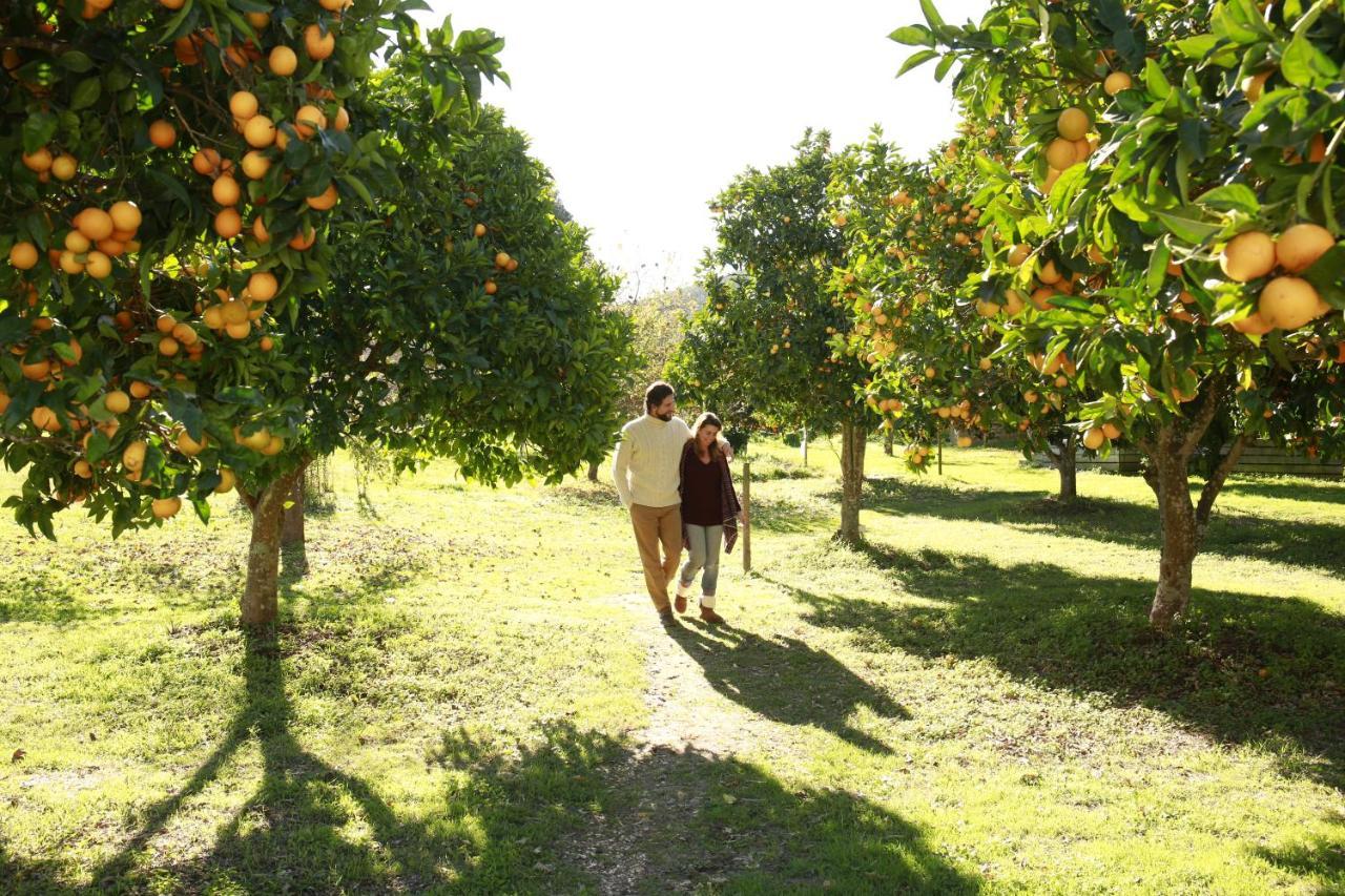 Herdade Da Matinha Country House & Restaurant Cercal do Alentejo Exteriér fotografie